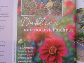 The dahlia garden in the Gartenflora journal