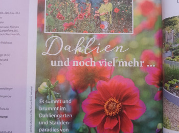 The dahlia garden in the Gartenflora journal